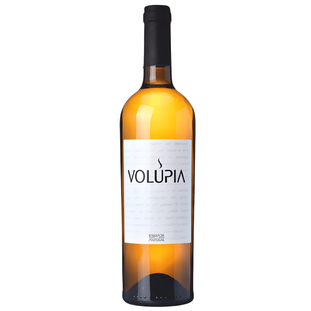 Volúpia 2024