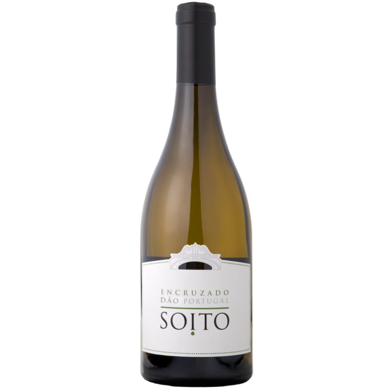 Soito Encruzado 2024