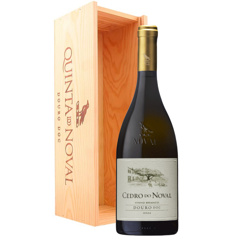 Cedro Magnum Noval