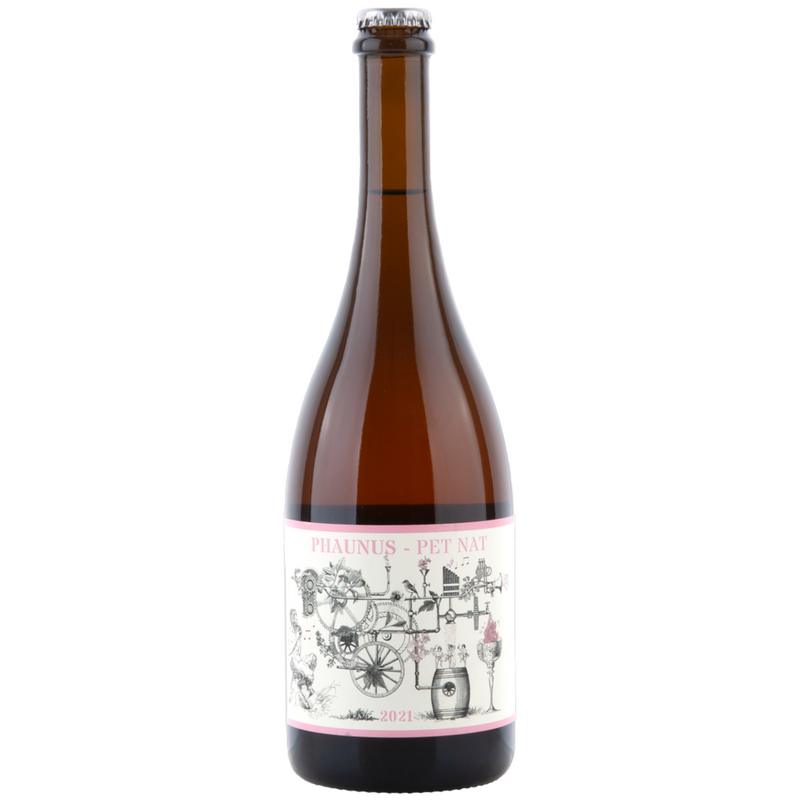Aphros Phaunus Rose