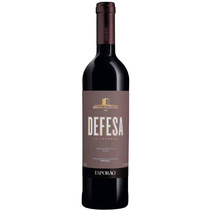 Defesa 2021