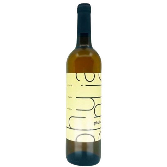 Phulia Loureiro 2024