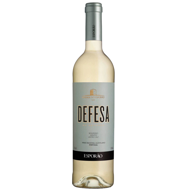 Defesa 2021